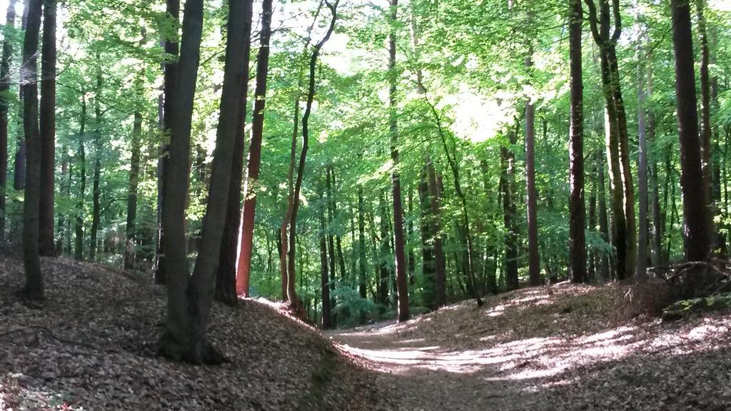 Hotel Garni Nussbaumhof Uckeritz Exteriör bild